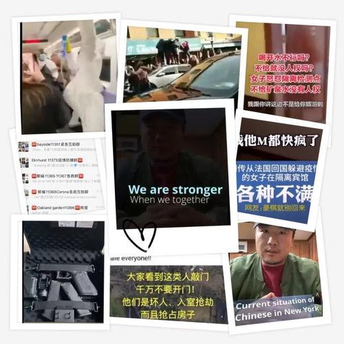 美国的病毒爆料视频播放,真相与阴谋的交织